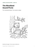 The Woodland Sound Picnic cover with Moss the badger, Fern the mouse and a wren